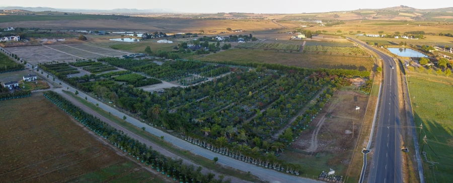 0 Bedroom Property for Sale in Stellenbosch Farms Western Cape